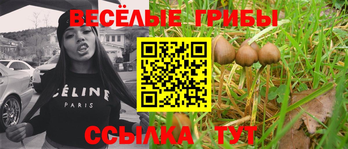 Галлюциногенные грибы GOLDEN TEACHER Балабаново
