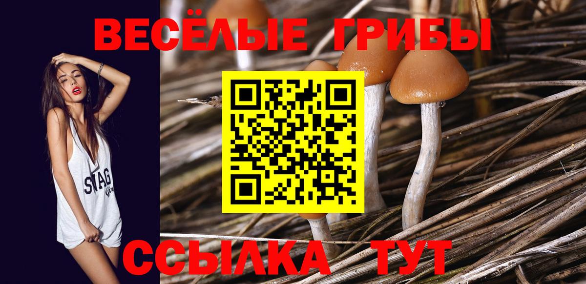 LSD-25  Ляпка  КОКАИН  Балабаново  Мяу-Мяу  NBOMe  Вход с VPN  Конопля  Мяу-Мяу 