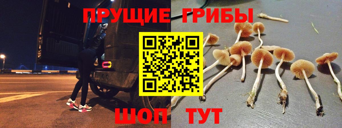 Балабаново  Псилоцибиновые грибы Magic Shrooms  Псилоцибиновые грибы Cubensis  Вход с VPN 